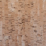CORK F263